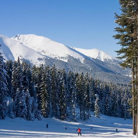 Skiing, Walking, Enjoying In Mountains Bansko Zewnętrze zdjęcie
