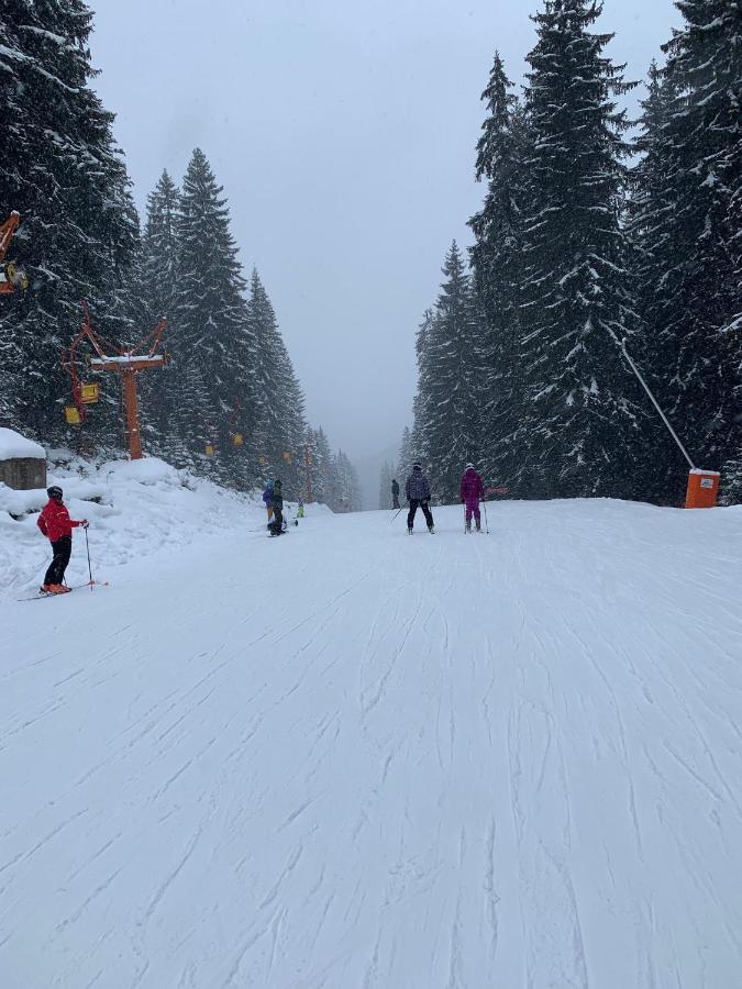 Skiing, Walking, Enjoying In Mountains Bansko Zewnętrze zdjęcie