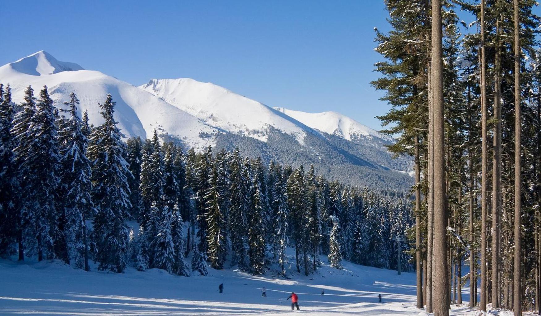 Skiing, Walking, Enjoying In Mountains Bansko Zewnętrze zdjęcie