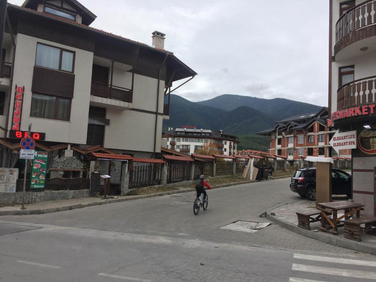 Skiing, Walking, Enjoying In Mountains Bansko Zewnętrze zdjęcie