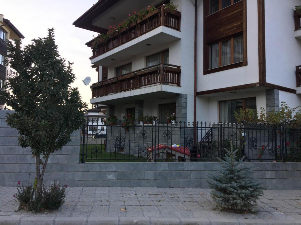 Skiing, Walking, Enjoying In Mountains Bansko Zewnętrze zdjęcie